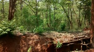 Agumbe Ghat 1/1 by Tripoto