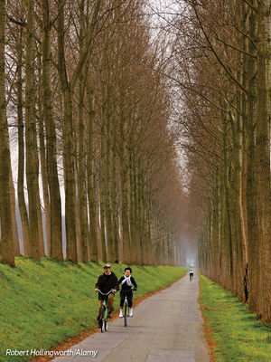 Cycle Your Way Through Bruges To Explore The City Like Never Before