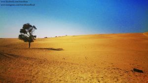 Jaisalmer - Sun and Sand Dunes