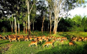 Explore the unexplored: 13 unpopular wildlife destinations in India.