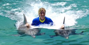 10 Places In The World Where You Can Go Swimming With Dolphins