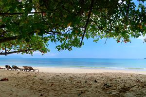 Getaway to a Tropical Paradise -SEYCHELLES