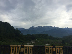 A Monsoon Weekend in Palampur