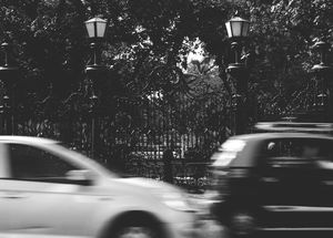 Horniman Circle Garden 1/2 by Tripoto