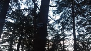 “If You Had Liked Noise, You Wouldn't be Here”… Towards Landour To ‘Do Nothing’.