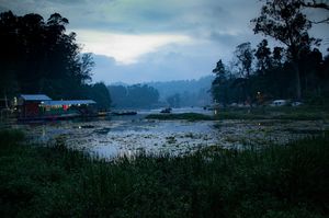Coorg & Kodaikanal without tourists through my lens #westernghatsinphotos
