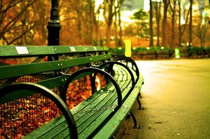 Things to do in NYC