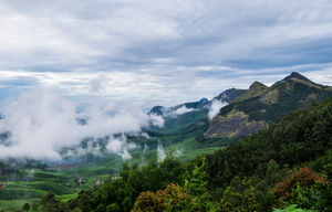 The Road that isn’t & The Highest Tea Plantation in the world.
