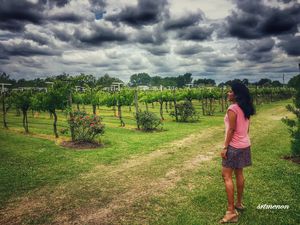 The wine buzz