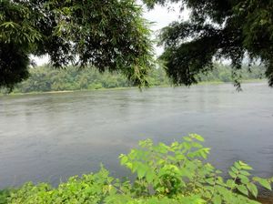 Kodanad Elephant Training centre: Kerala