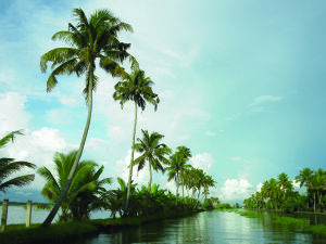 Kerala tourism's trump card - Alleppey Houseboat cruise