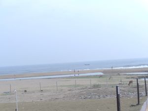Puri: Land of Temples and Beaches