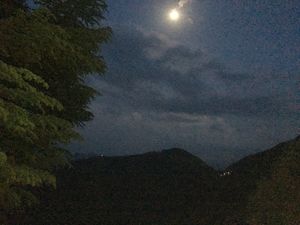 An unexpected love story called Khajjiar