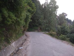 Panchpula, , India: View Images, Timing and Reviews  Tripoto