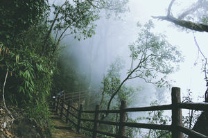Courting the clouds in Meghalaya