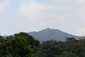 Talacauvery Road 1/5 by Tripoto