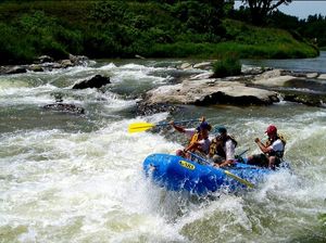 Naldehra - The Hidden Treasure of Himachal