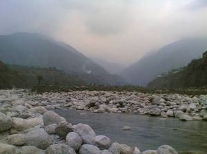 Palampur: North India's tea-estate.
