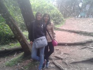 Ethereal Kodaikanal