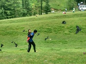 My latest crush,"Bhulah, "Mini Switzerland" Mandi,Himachal