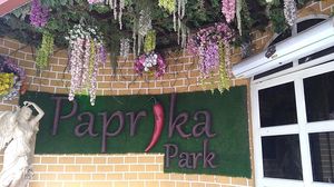 Paprika Park- a quality restaurant at Habitat center Indirapuram - Dream dining..