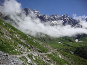 Solo Trip to the Valley of Flowers : Where the Heavens descend on Earth