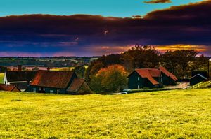 Winter activities in Suffolk
