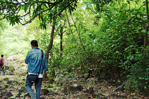 A Backpacker’s Guide To The Amazon Valley Of India - A Surreal Experience