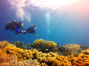Scuba diving in Chapel, Apo Island: Finding love and beauty under the waves