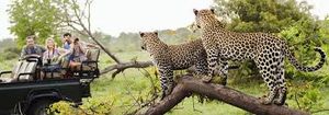 Ranthambore National Park - tiger friendly land