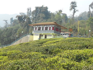 Go South &West Sikkim 4a retreat in the midst of nature in its most natural form