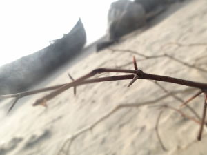 Castles in the Sand : A Digha Chronicle !