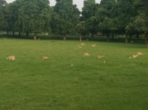 Weekend Trip to Agra