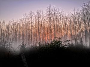 Rendezvous with Rishikesh - and I conversed with Ganges greens and blues! - by Peeush Tomar