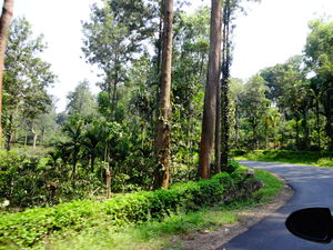 Why travelling around India is the best thing that I have ever done!