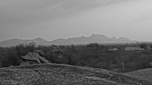 Coexistence with the leopards - Bera, Rajasthan