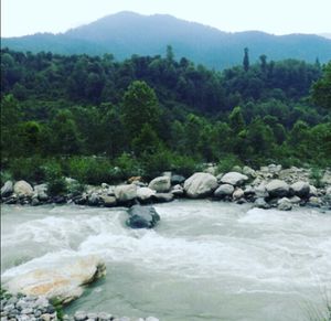 Manali is the new love