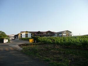 Sula Vineyards 1/40 by Tripoto