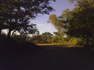 Dhupgarh 1/1 by Tripoto