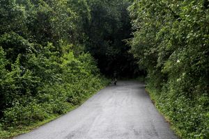 A Scenic Hill Station Near Bangalore: Scotlandish Coorg
