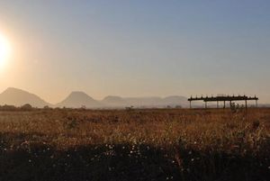 Dolce Vita in the vineyards of Nashik