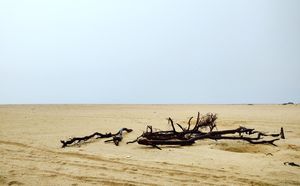 Dhanushkodi
