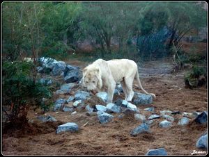 Al Ain Zoo & Aquarium - Al Ain - United Arab Emirates 1/3 by Tripoto