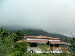 A Jewel Tucked in the Himalayas - Pangot