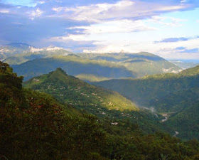 North Bengal's Beauty of Cinchona Plantation - Rongo