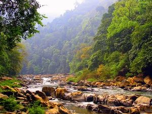 River Trekking at Neora Valley National Park