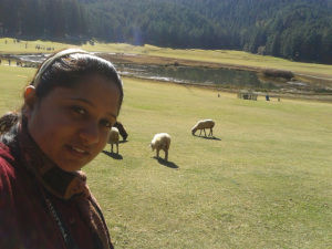 Dalhousie Diaries: Part 2