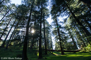 Dalhousie Diaries - Day 1