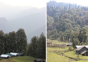 TRAVEL :: Magpie Jungle Camp, CHOPTA