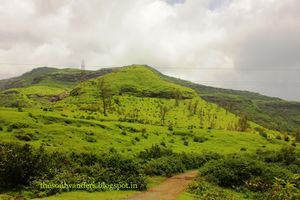 Towards Responsible Tourism
